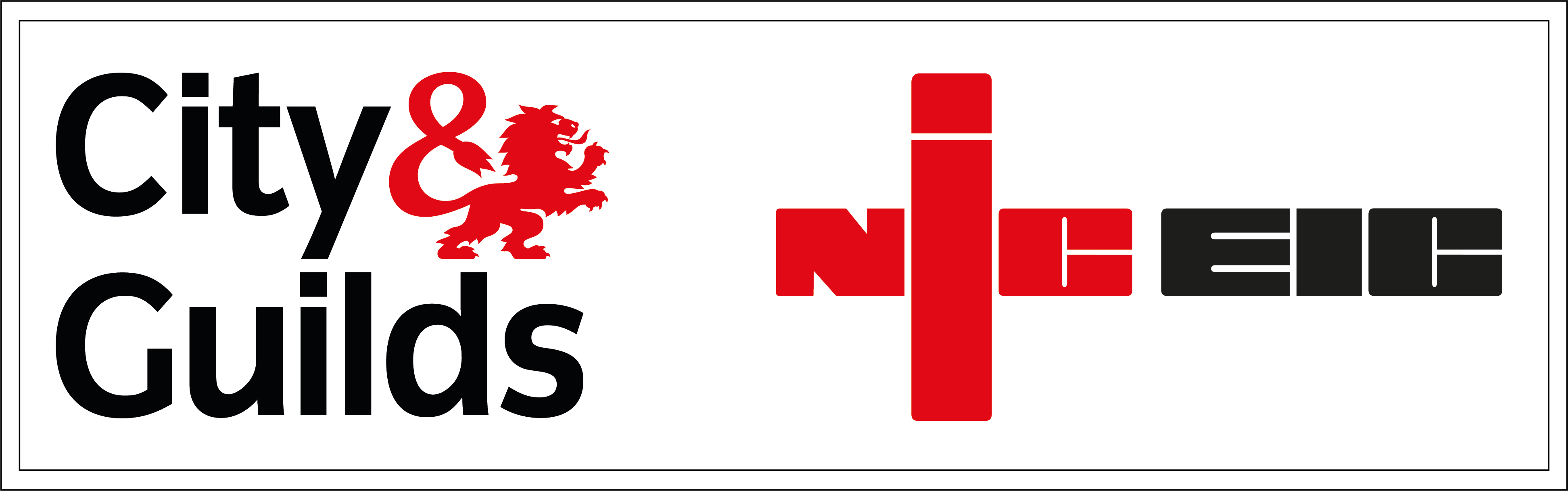 City and Guilds NIC EIC
